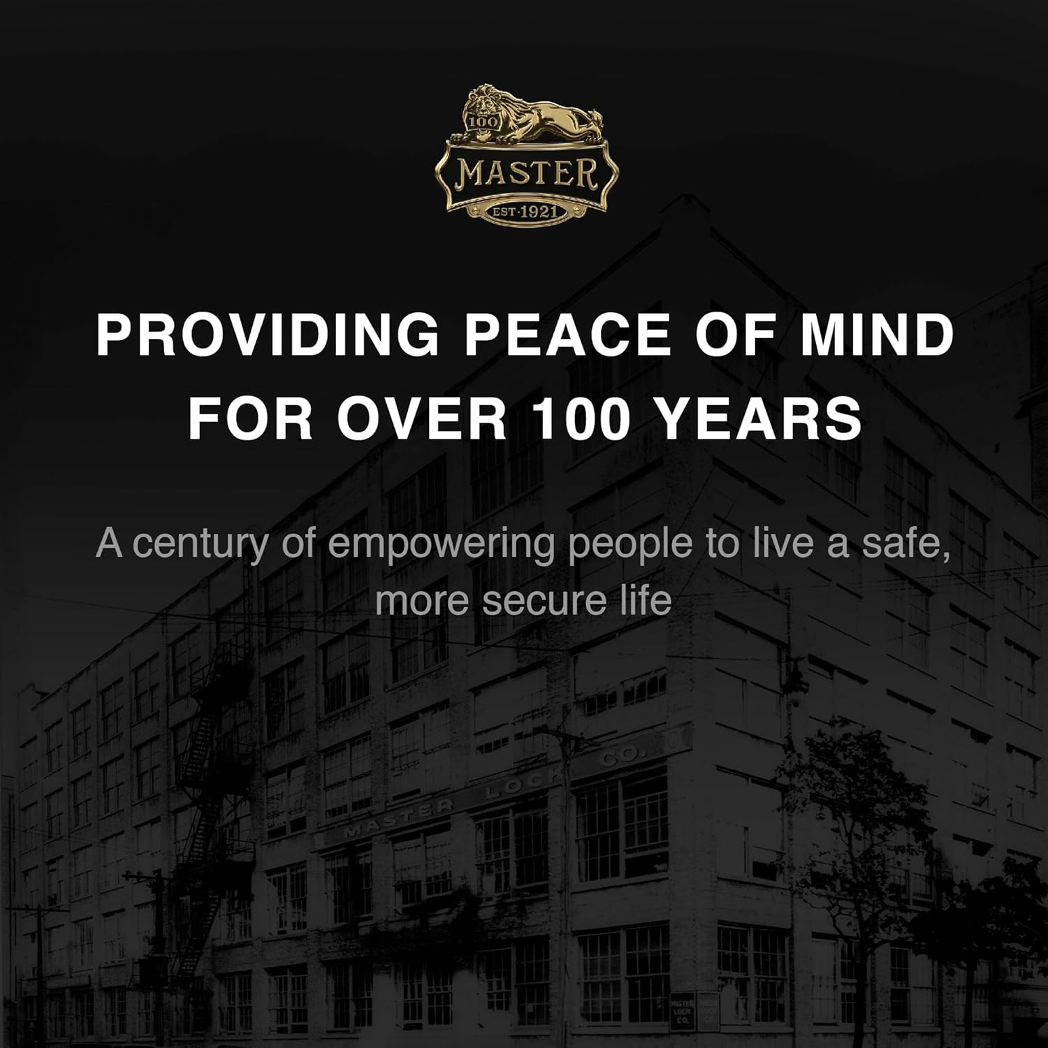 Master Lock - Image 11